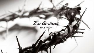En La Cruz Hay Vida Lucas 23:47 Nueva Versión Internacional - Español