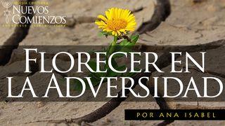Florecer en La Adversidad MATEO 6:33 La Palabra (versión española)