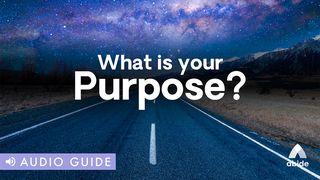 What Is Your Purpose? Hébreux 3:7-8 Parole de Vie 2017