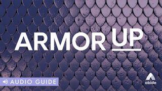 Armor Up! 2 Timothy 1:12 Amplified Bible, Classic Edition
