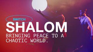 Shalom Acts 5:16 New International Version
