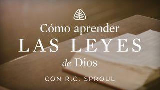 Cómo aprender las leyes de Dios Juan 8:31-36 Nueva Versión Internacional - Español