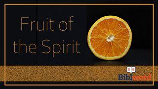 Fruit of the Spirit 2 Timothy 1:13, 14 King James Version