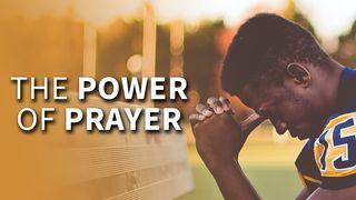 The Power of Prayer Matthew 21:22 Common English Bible