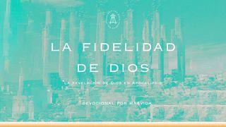 La fidelidad de Dios Mateo 28:18-20 Nueva Versión Internacional - Español
