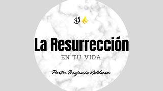 La Resurrección en Tu Vida Romanos 8:2 Nueva Biblia Viva