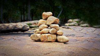 Living Stones:  Lead, Care and Serve Like Jesus Mark 6:50 New King James Version