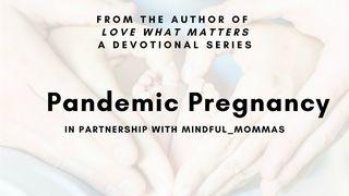 Pandemic Pregnancy Luke 2:51 English Standard Version 2016