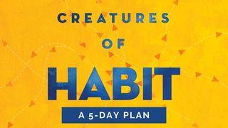 Creatures of Habit  Galatians 5:16-21 New International Version