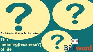 The Meaning(lessness?) of Life Ecclesiastes 1:1-11 New International Version