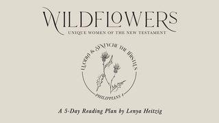 Wildflowers: Week Two | Euodia & Syntyche the Thistles Filipenses 4:3 Nueva Versión Internacional - Español