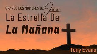 Orando Los Nombres De Jesús: La Estrella De La Mañana 1 Juan 1:7 Biblia Reina Valera 1960