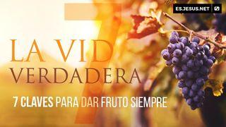 La Vid Verdadera. 7 Claves Para Dar Fruto Siempre. Juan 15:1-17 Nueva Versión Internacional - Español