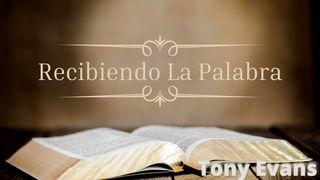Recibiendo La Palabra Salmo 119:11 Nueva Biblia Viva