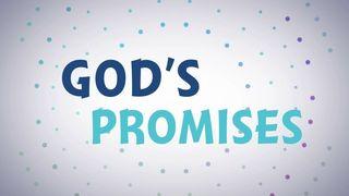 The Process Between the Promise Made and the Promise Fulfilled Psalms 27:14 New American Standard Bible - NASB 1995