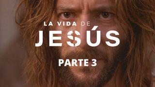 La Vida De Jesús. Parte 3 (3/7) Juan 8:23-24 Nueva Traducción Viviente