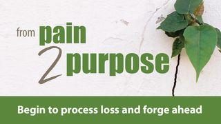 From Pain 2 Purpose: Begin to Process Loss and Forge Ahead Salmi 56:8 Nuova Riveduta 2006