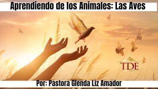 Aprendiendo De Los Animales: Las Aves S. Lucas 19:40 Biblia Reina Valera 1960