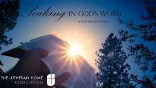Soaking in God’s Word Romanos 16:25-26 Bíblia Sagrada, Nova Versão Transformadora
