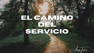 El Camino Del Servicio  ROMANOS 12:12 La Palabra (versión española)