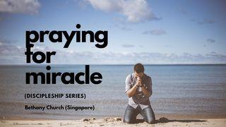 Praying for Miracle Mark 11:24 English Standard Version 2016