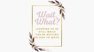 Wait, What? Learning to Be Still, While You’re Waiting on God to Move Psalms 20:7 New International Version