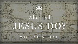 What Did Jesus Do? Matthew 3:16 New International Version
