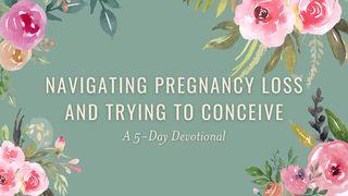 Navigating Pregnancy Loss & Trying to Conceive: A 5-Day Plan Psalm 126:5 Amplified Bible, Classic Edition
