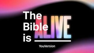 The Bible is Alive Vangelo secondo Matteo 24:35 Nuova Riveduta 2006