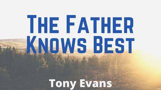 The Father Knows Best Proverbs 19:21 Good News Translation