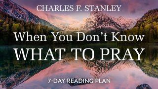 When You Don't Know What to Pray  Psalms 22:23-31 New King James Version