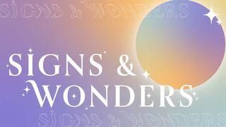 Signs & Wonders Acts of the Apostles 9:20-35 New Living Translation