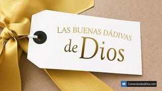 Las Buenas Dádivas De Dios Efesios 2:8-10 Nueva Versión Internacional - Español
