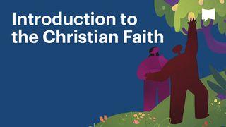 BibleProject | Introduction to the Christian Faith Vangelo secondo Matteo 4:24 Nuova Riveduta 2006