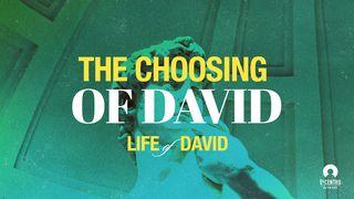 The Choosing of David    1 SAMUEL 16:5 Afrikaans 1983