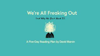 We’re All Freaking Out (And Why We Don’t Need To) Proverbios 23:7 Traducción en Lenguaje Actual