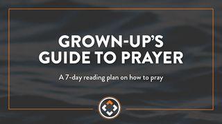 Grown Up's Guide to Prayer Luke 18:22 New International Version