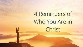 4 Reminders of Who You Are in Christ Galatians 5:1 Amplified Bible