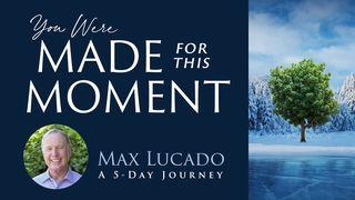 You Were Made for This Moment: A 5-Day Journey Psalms 34:4 Amplified Bible