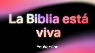 La Biblia está Viva 2 Timoteo 3:15, 16, 17 Biblia Reina Valera 1960