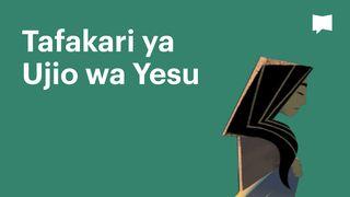  BibleProject | Tafakari ya Ujio wa Yesu Waroma 8:28-29 Biblia Habari Njema