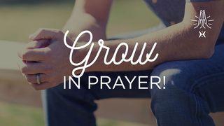 Grow in Prayer! Revelation 5:8 New King James Version