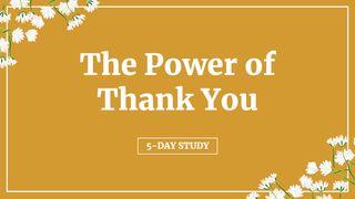 The Power of Thank You Isaiah 61:1 New King James Version