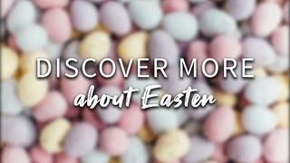 Discover More About Easter Luke 23:2 New International Version