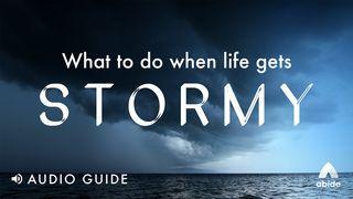 What to do When Life Gets Stormy  Proverbs 17:17 Amplified Bible, Classic Edition
