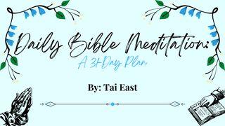 Daily Bible Meditation: A 31-Day Plan Joshua 3:5 Amplified Bible