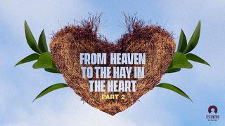 [From Heaven to the Hay in the Heart] Part 2 Hebrews 4:16 New Living Translation