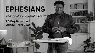 Ephesians: Life in God's Diverse Family Efeziërs 2:14-15 Het Boek