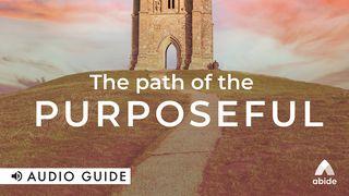 Path of the Purposeful  Proverbs 19:21 Amplified Bible