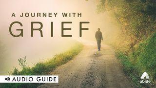 A Journey With Grief Psalms 38:17 New International Version